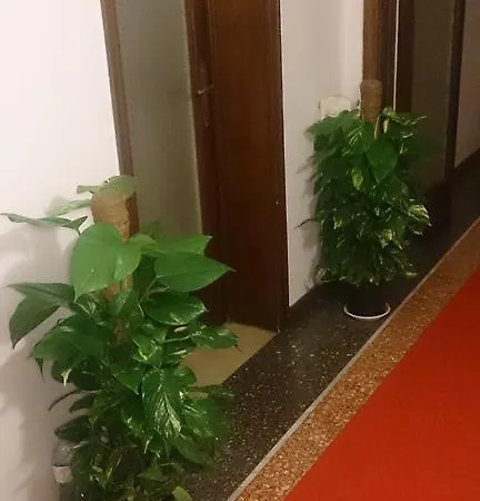 Il Sogno Di Lin 게스트하우스